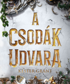 A csodák udvara