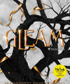 Gleam - Csillogás - Éldekorált kiadás