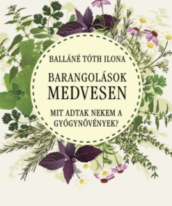 Barangolások a Medvesen