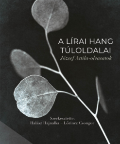 A lírai hang túloldalai