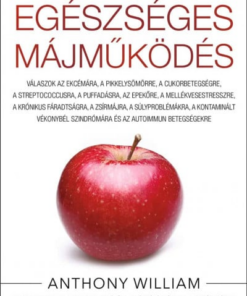 Egészséges májműködés - puhatáblás