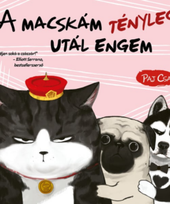 A macskám tényleg utál engem (Macska és Kutya 2.)