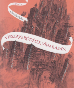 Visszaverődések viharában - A tükörjáró 4. könyv