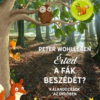 Érted a fák beszédét? - Kalandozások az erdőben