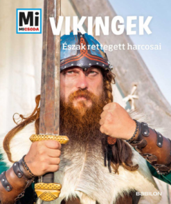 Vikingek - Mi MICSODA