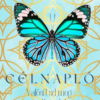 Célnapló