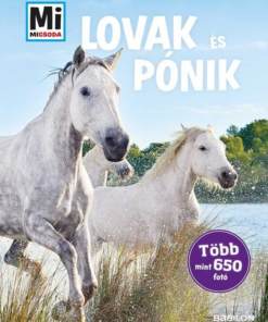 Mi MICSODA Lovak és pónik - album