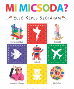 Mi micsoda? – Első képes szótáram