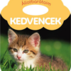 Állatbarátaim - Kedvencek
