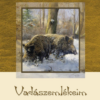 Vadászemlékeim