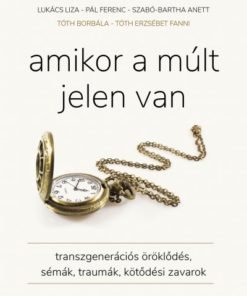 Amikor a múlt jelen van - Transzgenerációs öröklődés, sémák, traumák, kötődési zavarok