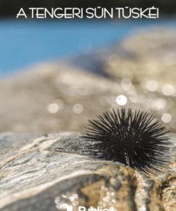 A tengeri sün tüskéi