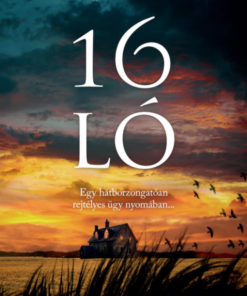 16 ló