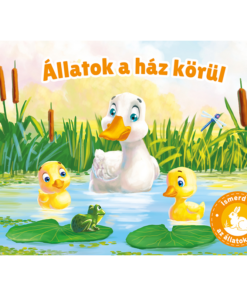 Ismerd meg az állatokat – Állatok a ház körül