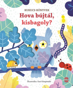 Hova bújtál, kisbagoly?