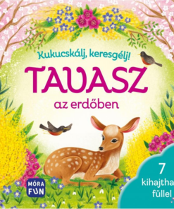 Kukucskálj, keresgélj! - Tavasz az erdőben