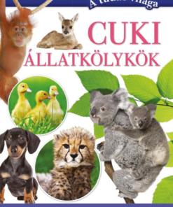 Cuki állatkölykök