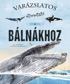 Varázslatos útmutató a bálnákhoz