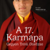 A 17. Karmapa, Orgyen Trinli Dordzse