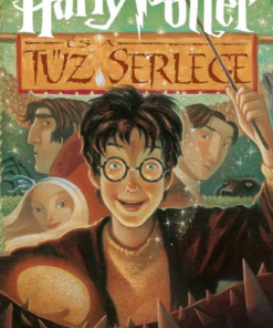 Harry Potter és a Tűz Serlege – kemény táblás