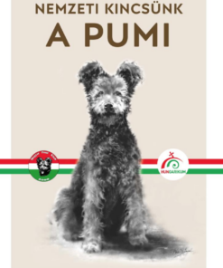 A pumi