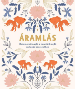 Áramlás