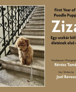 Ziza