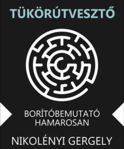 Tükörútvesztő