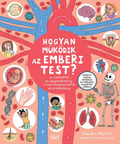 Hogyan működik az emberi test?