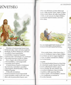 Alternative view of Képes Biblia