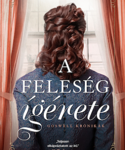 A feleség ígérete - Goswell-krónikák 1.