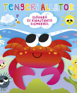 Alternative view of Ki bújt el? Tengeri állatok