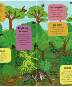 Alternative view of Kis felfedezők - Minden, ami dzsungel