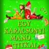 Egy karácsonyi manó titkai