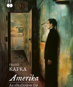 Alternative view of Amerika - Az elkallódott fiú