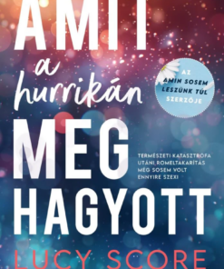 Amit a hurrikán meghagyott