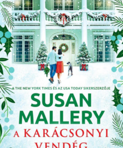 A karácsonyi vendég