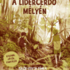 A Lidércerdő mélyén