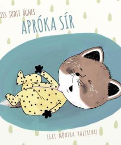 Apróka sír