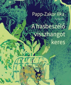 A hasbeszélő visszhangot keres