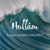 Hullám