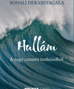 Hullám