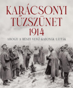 Karácsonyi tűzszünet, 1914