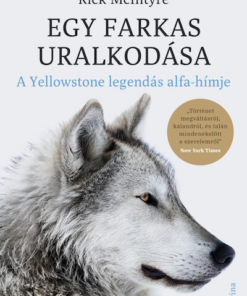 Egy farkas uralkodása - A Yellowstone legendás alfa-hímje
