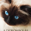 A Dorombolás művészete