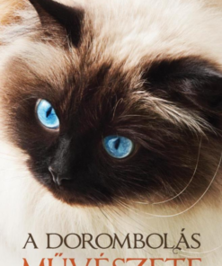 A Dorombolás művészete
