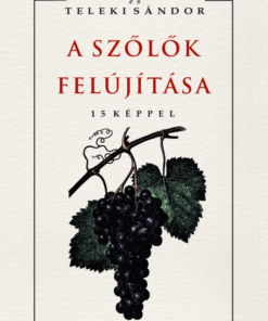 A szőlők felújítása