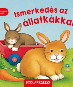 Ismerkedés az állatkákkal