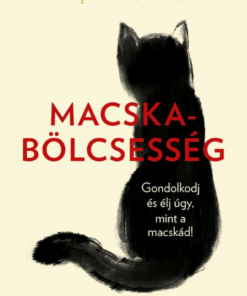 Macskabölcsesség