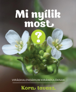Mi nyílik most? - Kora tavasz
